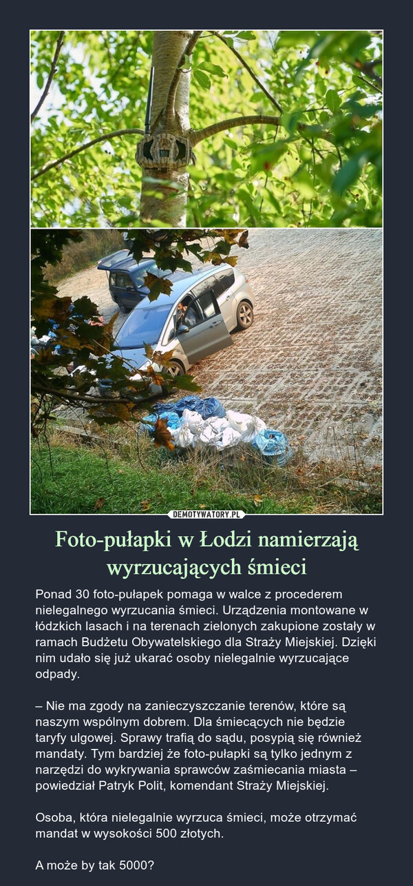 Foto-pułapki w Łodzi namierzają wyrzucających śmieci