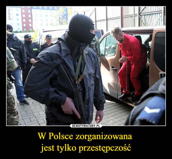 W Polsce zorganizowana jest tylko przestępczość –  