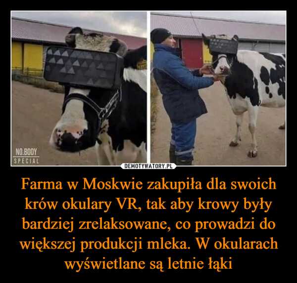 Farma w Moskwie zakupiła dla swoich krów okulary VR, tak aby krowy były bardziej zrelaksowane, co prowadzi do większej produkcji mleka. W okularach wyświetlane są letnie łąki –  