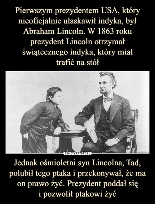 Pierwszym prezydentem USA, który nieoficjalnie ułaskawił indyka, był Abraham Lincoln. W 1863 roku prezydent Lincoln otrzymał świątecznego indyka, który miał
trafić na stół Jednak ośmioletni syn Lincolna, Tad, polubił tego ptaka i przekonywał, że ma on prawo żyć. Prezydent poddał się
i pozwolił ptakowi żyć