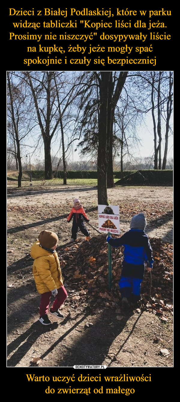 Dzieci z Białej Podlaskiej, które w parku widząc tabliczki "Kopiec liści dla jeża. Prosimy nie niszczyć" dosypywały liście na kupkę, żeby jeże mogły spać spokojnie i czuły się bezpieczniej Warto uczyć dzieci wrażliwości 
do zwierząt od małego