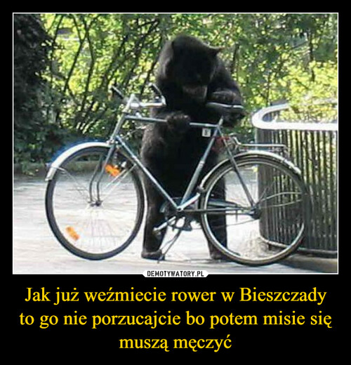 Jak już weźmiecie rower w Bieszczady to go nie porzucajcie bo potem misie się muszą męczyć