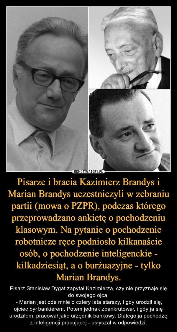 Pisarze i bracia Kazimierz Brandys i Marian Brandys uczestniczyli w zebraniu partii (mowa o PZPR), podczas którego przeprowadzano ankietę o pochodzeniu klasowym. Na pytanie o pochodzenie robotnicze ręce podniosło kilkanaście osób, o pochodzenie inteligenckie - kilkadziesiąt, a o burżuazyjne - tylko Marian Brandys. – Pisarz Stanisław Dygat zapytał Kazimierza, czy nie przyznaje się do swojego ojca. - Marian jest ode mnie o cztery lata starszy, i gdy urodził się, ojciec był bankierem. Potem jednak zbankrutował, i gdy ja się urodziłem, pracował jako urzędnik bankowy. Dlatego ja pochodzę z inteligencji pracującej - usłyszał w odpowiedzi. 
