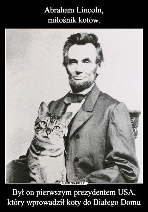 Abraham Lincoln,
miłośnik kotów. Był on pierwszym prezydentem USA, który wprowadził koty do Białego Domu