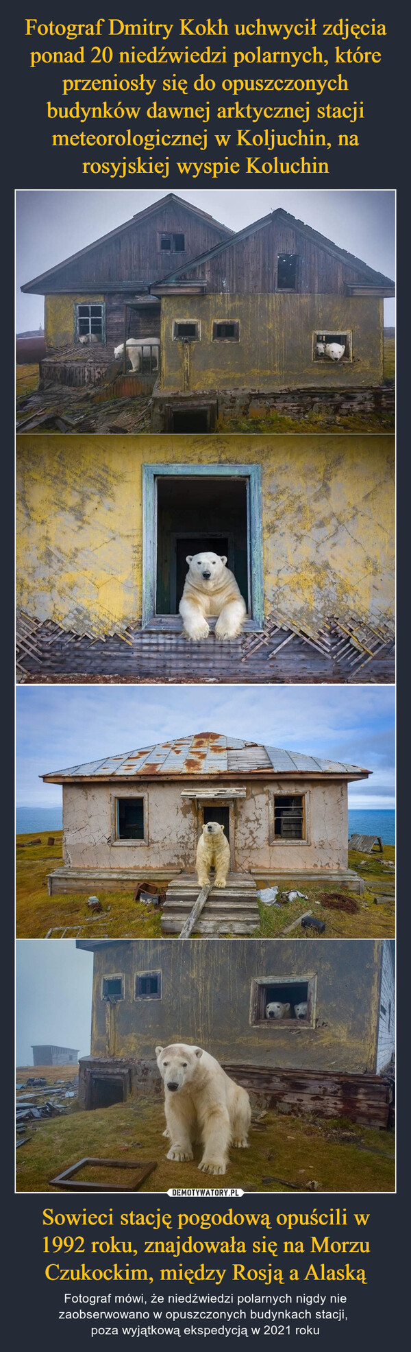 Sowieci stację pogodową opuścili w 1992 roku, znajdowała się na Morzu Czukockim, między Rosją a Alaską – Fotograf mówi, że niedźwiedzi polarnych nigdy nie zaobserwowano w opuszczonych budynkach stacji, poza wyjątkową ekspedycją w 2021 roku 