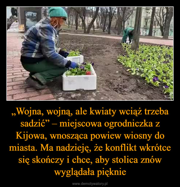 „Wojna, wojną, ale kwiaty wciąż trzeba sadzić” – miejscowa ogrodniczka z Kijowa, wnosząca powiew wiosny do miasta. Ma nadzieję, że konflikt wkrótce się skończy i chce, aby stolica znów wyglądała pięknie –  