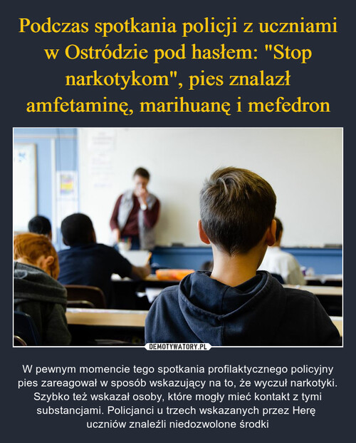 Podczas spotkania policji z uczniami w Ostródzie pod hasłem: "Stop narkotykom", pies znalazł amfetaminę, marihuanę i mefedron