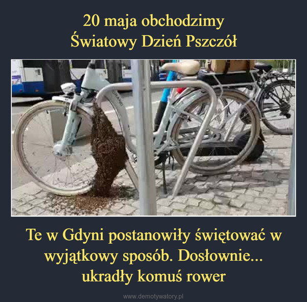 Te w Gdyni postanowiły świętować w wyjątkowy sposób. Dosłownie...ukradły komuś rower –  
