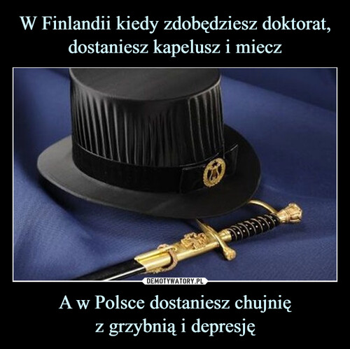 W Finlandii kiedy zdobędziesz doktorat, dostaniesz kapelusz i miecz A w Polsce dostaniesz chujnię
z grzybnią i depresję