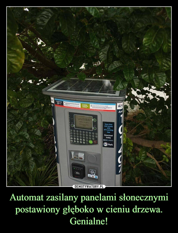 Automat zasilany panelami słonecznymi postawiony głęboko w cieniu drzewa.Genialne! –  