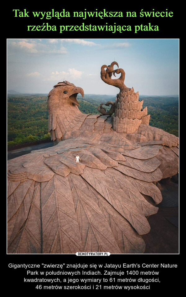  – Gigantyczne "zwierzę" znajduje się w Jatayu Earth's Center Nature Park w południowych Indiach. Zajmuje 1400 metrów kwadratowych, a jego wymiary to 61 metrów długości, 46 metrów szerokości i 21 metrów wysokości 