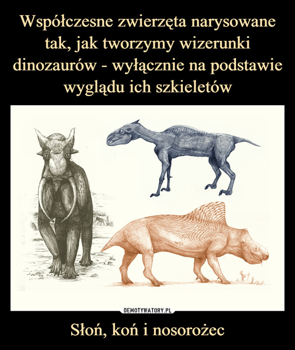 Współczesne zwierzęta narysowane tak, jak tworzymy wizerunki dinozaurów - wyłącznie na podstawie wyglądu ich szkieletów Słoń, koń i nosorożec
