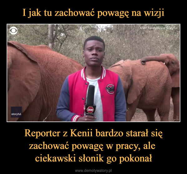 Reporter z Kenii bardzo starał się zachować powagę w pracy, ale ciekawski słonik go pokonał –  