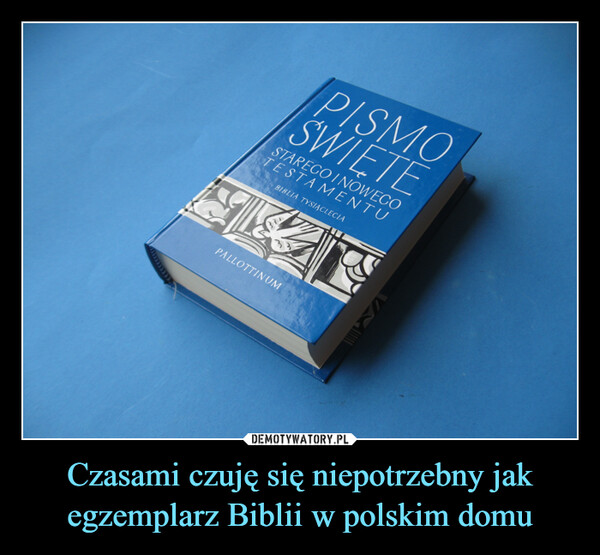 Czasami czuję się niepotrzebny jak egzemplarz Biblii w polskim domu –  