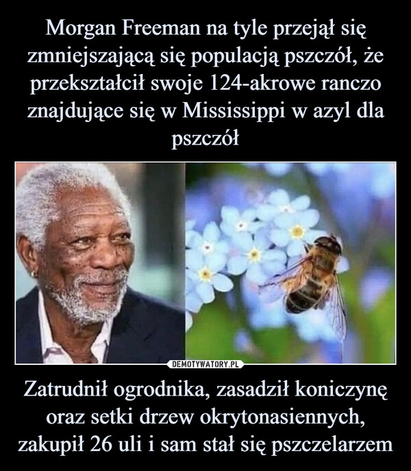 Morgan Freeman na tyle przejął się zmniejszającą się populacją pszczół, że przekształcił swoje 124-akrowe ranczo znajdujące się w Mississippi w azyl dla pszczół Zatrudnił ogrodnika, zasadził koniczynę oraz setki drzew okrytonasiennych, zakupił 26 uli i sam stał się pszczelarzem