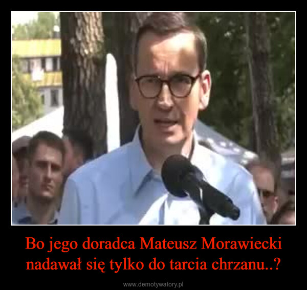 Bo jego doradca Mateusz Morawiecki nadawał się tylko do tarcia chrzanu..? –  