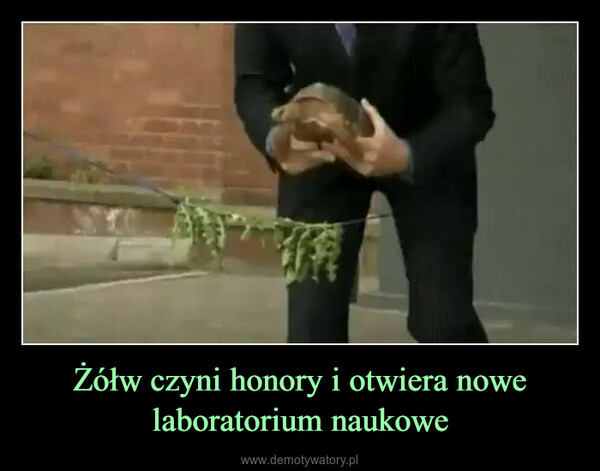 Żółw czyni honory i otwiera nowe laboratorium naukowe –  