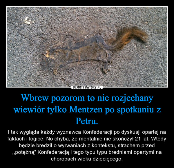Wbrew pozorom to nie rozjechany wiewiór tylko Mentzen po spotkaniu z Petru.