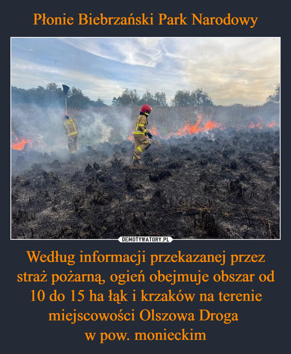 Według informacji przekazanej przez straż pożarną, ogień obejmuje obszar od 10 do 15 ha łąk i krzaków na terenie miejscowości Olszowa Droga w pow. monieckim –  