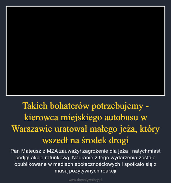 Takich bohaterów potrzebujemy - kierowca miejskiego autobusu w Warszawie uratował małego jeża, który wszedł na środek drogi – Pan Mateusz z MZA zauważył zagrożenie dla jeża i natychmiast podjął akcję ratunkową. Nagranie z tego wydarzenia zostało opublikowane w mediach społecznościowych i spotkało się z masą pozytywnych reakcji 