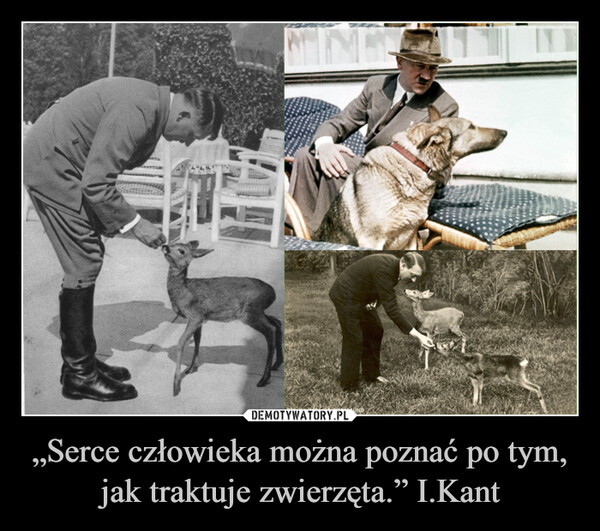 „Serce człowieka można poznać po tym, jak traktuje zwierzęta.” I.Kant –  MNIEDER FÜHRER ALS TIERFREUND