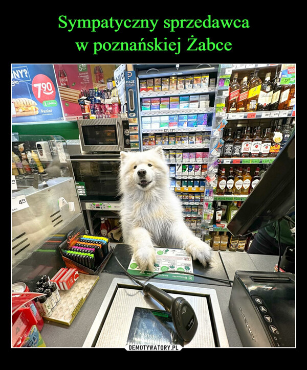 Sympatyczny sprzedawca
w poznańskiej Żabce