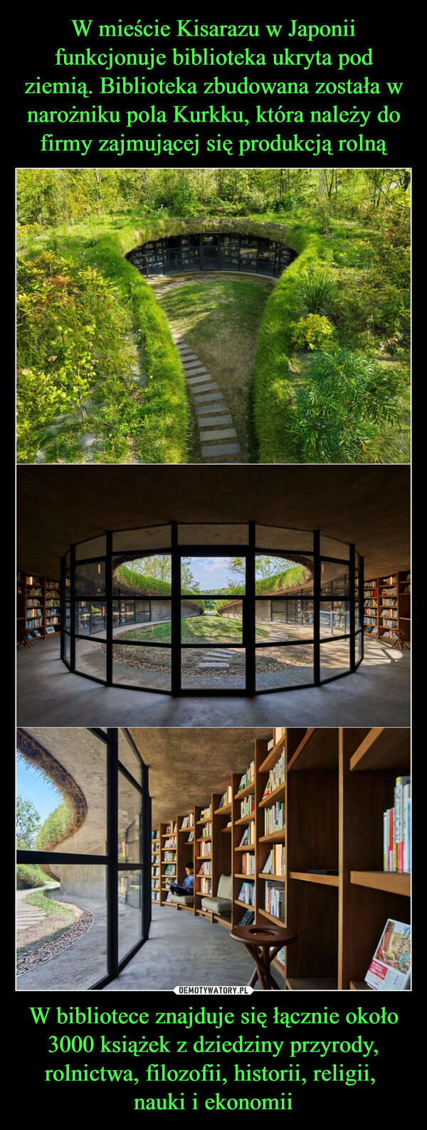 W mieście Kisarazu w Japonii funkcjonuje biblioteka ukryta pod ziemią. Biblioteka zbudowana została w narożniku pola Kurkku, która należy do firmy zajmującej się produkcją rolną W bibliotece znajduje się łącznie około 3000 książek z dziedziny przyrody, rolnictwa, filozofii, historii, religii, 
nauki i ekonomii