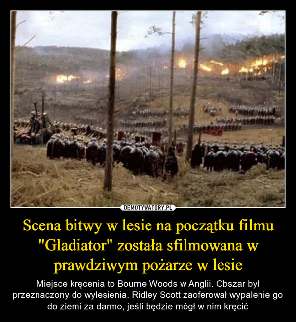 Scena bitwy w lesie na początku filmu "Gladiator" została sfilmowana w prawdziwym pożarze w lesie