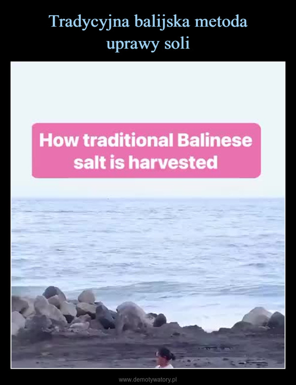  –  How traditional Balinesesalt is harvested