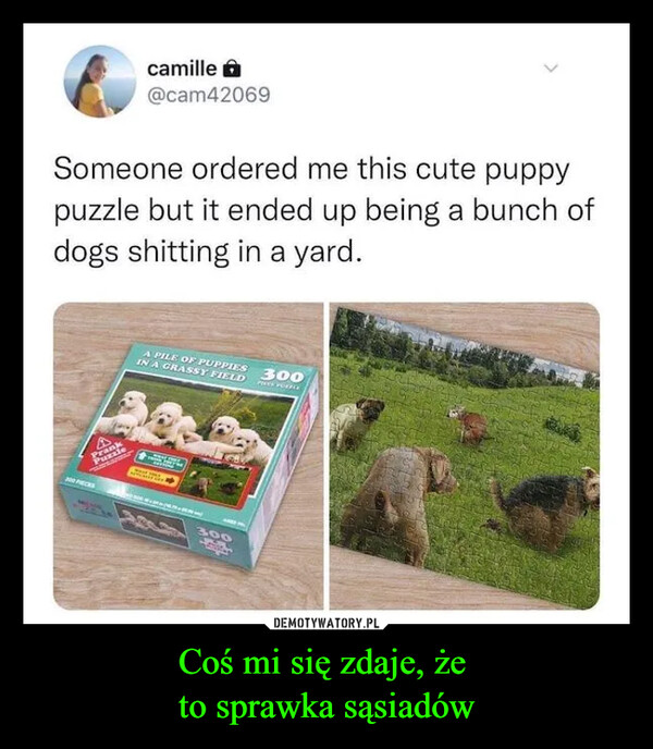 Coś mi się zdaje, że to sprawka sąsiadów –  camille@cam42069Someone ordered me this cute puppypuzzle but it ended up being a bunch ofdogs shitting in a yard.PreA PILE OF PUPPIESIN A GRASSY FIELD300300