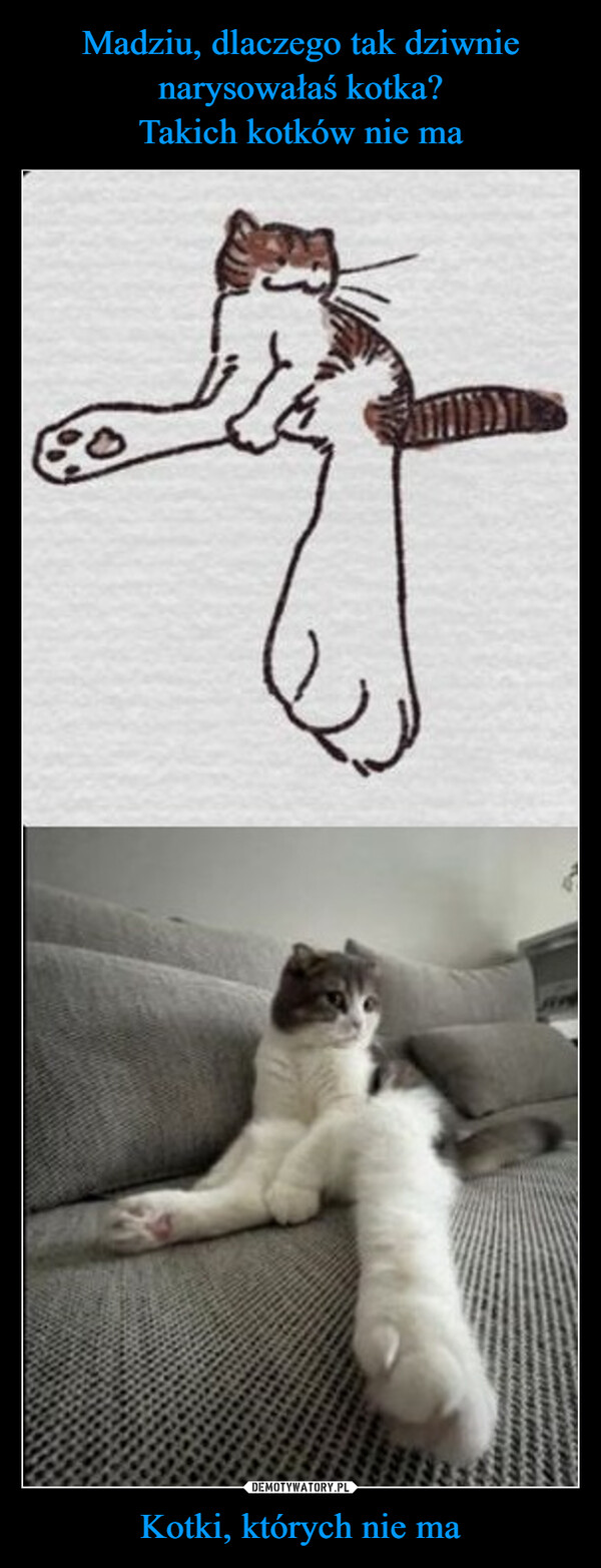 Madziu, dlaczego tak dziwnie narysowałaś kotka?
Takich kotków nie ma Kotki, których nie ma